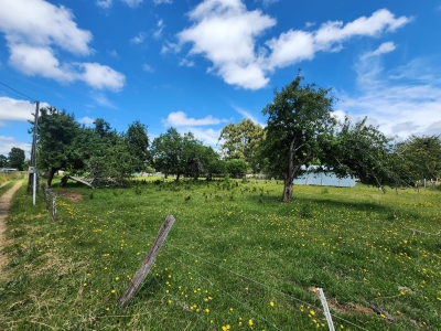 CentroCasas.cl Venta de Parcela en Ro Bueno, Cayurruca, Rio Bueno 